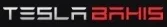 Teslabahis logo